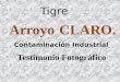 Tigre Arroyo CLARO. Contaminación Industrial Testimonio Fotográfico