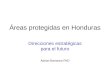 Áreas protegidas en Honduras Direcciones estratégicas para el futuro Adrian Barrance PhD