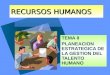 RECURSOS HUMANOS TEMA II PLANEACION ESTRATEGICA DE LA GESTION DEL TALENTO HUMANO