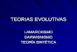 TEORIAS EVOLUTIVAS LAMARCKISMODARWISNISMO TEORÍA SINTÉTICA
