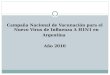 Campaña Nacional de Vacunación para el Nuevo Virus de Influenza A H1N1 en Argentina Año 2010