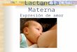 Lactancia Materna Expresión de amor. ¿Por qué Lactancia Materna? Porque es mejor alimento que una madre puede ofrecer a un recién nacido. En el aspecto
