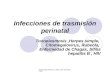 FUNDACION BARCELO FACULTAD DE MEDICINA Infecciones de trasmisión perinatal Toxoplasmosis,Herpes simple, Citomegalovirus, Rubeóla, Enfermedad de Chagas,