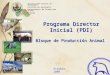 Programa Director Inicial (PDI) Universidad Central de Venezuela Facultad de Agronomía Departamento de Producción Animal Maracay Octubre, 2009 Bloque de