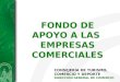 FONDO DE APOYO A LAS EMPRESAS COMERCIALES CONSEJERÍA DE TURISMO, COMERCIO Y DEPORTE DIRECCIÓN GENERAL DE COMERCIO