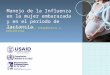 Manejo de la Influenza en la mujer embarazada y en el periodo de lactancia Aspectos clínicos, terapéuticos y preventivos