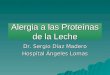 Alergia a las Proteínas de la Leche Dr. Sergio Díaz Madero Hospital Ángeles Lomas