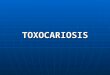 TOXOCARIOSIS. DEFINICIÓN Afección causada por la presencia y acción de varias especies de nematodos de los géneros Toxocara y Toxascaris. Afección causada
