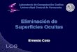 Eliminación de Superficies Ocultas Ernesto Coto Laboratorio de Computación Grafica Universidad Central de Venezuela