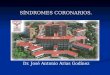 SÍNDROMES CORONARIOS. Dr. José Antonio Arias Godínez