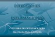 INFECCIONES EINFLAMACIONES CÁTEDRA DE OFTALMOLOGÍA Dra. : Martha Maria de la Portilla