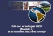 Taller de capacitación para la elaboración del Informe GEO Republica Dominicana EAI con el enfoque GEO (Modulo 1) 18 de noviembre 2008, Santo Domingo