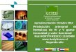 Programa Iberoamericano de Ciencia y Tecnología para el Desarrollo Agroalimentación: Octubre 2014 Producción artesanal de hortalizas de IV y V gama: inocuidad