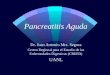 Pancreatitis Aguda Dr. Juan Antonio Mtz. Segura Centro Regional para el Estudio de las Enfermedades Digestivas (CREED) UANL