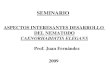 ASPECTOS INTERESANTES DESARROLLO DEL NEMATODO CAENORHABDITIS ELEGANS Prof. Juan Fern á ndez 2009 SEMINARIO
