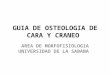 GUIA DE OSTEOLOGIA DE CARA Y CRANEO AREA DE MORFOFISIOLOGIA UNIVERSIDAD DE LA SABANA