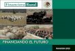 Noviembre 2013. 2 PROGRAMA DE FINANCIAMIENTO ESPECIAL PARA LA REACTIVACIÓN DE LA CADENA PRODUCTIVA Y REPOBLAMIENTO DEL HATO GANADERO. Estatal Zacatecas