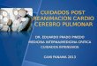 CUIDADOS POST REANIMACION CARDIO CEREBRO PULMONAR DR. EDUARDO PRADO PINEDO MEDICINA INTERNA/MEDICINA CRITICA CUIDADOS INTENSIVOS CAMI PANAMA 2013