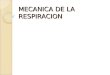 MECANICA DE LA RESPIRACION. RECUERDO ANATÓMICO IMPORTANCIA DE LA V.A DE CONDUCCIÓN – Tráquea y bronquios