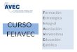 CURSO FEIAVEC Formación Estratégica Integral Asociación Venezolana Educación Católica