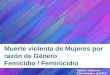 Muerte violenta de Mujeres por razón de Género Femicidio / Feminicidio 1 Patricia Olamendi Coordinadora del CEVI