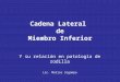 Cadena Lateral de Miembro Inferior Y su relación en patología de rodilla Lic. Matías Sigampa