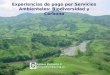 Experiencias de pago por Servicios Ambientales: Biodiversidad y Carbono Enrique Murgueitio R enriquem@cipav.org.co