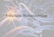 Estructuras Microanatómicas.. Tipos de células en el sistema nervioso Neuronas Células de neuroglia Células de epéndimo