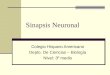 Sinapsis Neuronal Colegio Hispano Americano Depto. De Ciencias – Biología Nivel: 3º medio