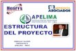 ENRIQUE QUISPE PRESIDENTE APELIMA - PERÚ APELIMA - PERÚ INGIENERIA INFORMATICA S.A
