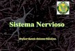 Profesor Ronnie Anicama Mendoza.. Propiedades Generales del Sistema Nervioso El sistema nervioso está formado por el tejido nervioso. Su principal función