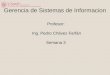 Profesor: Ing. Pedro Chávez Farfán Semana 3 Gerencia de Sistemas de Informacion