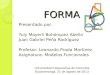 FORMA Presentado por: Yuly Mayerli Bohórquez Abello Juan Gabriel Peña Rodríguez Profesor: Leonardo Prada Martinez Asignatura: Modelos Funcionales Universidad