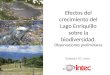 Efectos del crecimiento del Lago Enriquillo sobre la biodiversidad. Observaciones preliminares Yolanda M. León