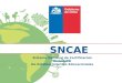SNCAE Sistema Nacional de Certificación Ambiental De Establecimientos Educacionales