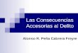 Las Consecuencias Accesorias al Delito Alonso R. Peña Cabrera Freyre