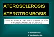 ATEROSCLEROSIS ATEROTROMBOSIS LA PLACA DE ATEROMA: CLASIFICACIÓN Y CONSECUENCIAS CLÍNICAS Dr. Iñaki Lekuona Sº Cardiología HGU