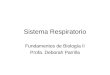 Sistema Respiratorio Fundamentos de Biología II Profa. Deborah Parrilla