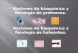 Nociones de bioquímica y fisiología de protozoos.  Nociones de bioquímica y fisiología de helmintos