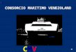 CONSORCIO MARITIMO VENEZOLANO CMV. VISION CMV Conformar la Asociación Naviera más importante de Venezuela con sentido empresarial-social y reciprocidad
