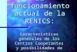El funcionamiento actual de la RENICS: Características generales de los Centros Cooperantes y posibilidades de acción