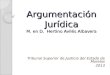 Argumentación Jurídica M. en D. Hertino Avilés Albavera Tribunal Superior de Justicia del Estado de Morelos 2013