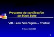 1 Programa de certificación de Black Belts VIII. Lean Seis Sigma – Control P. Reyes / Abril 2010