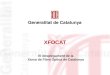 XFOCAT El desplegament de la Xarxa de Fibra Òptica de Catalunya