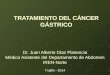 Dr. Juan Alberto Díaz Plasencia Médico Asistente del Departamento de Abdomen IREN-Norte Trujillo - 2014 TRATAMIENTO DEL CÁNCER GÁSTRICO