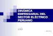 DINÁMICA EMPRESARIAL DEL SECTOR ELÉCTRICO PERUANO 2009 L. BEDOYA W