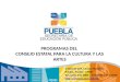 PROGRAMAS DEL CONSEJO ESTATAL PARA LA CULTURA Y LAS ARTES 3 Oriente 209, Centro Histórico Puebla, Puebla. 72000 Tel.:(222) 246-4885 / 777-2593 / 777-2596