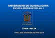 UNIVERSIDAD DE GUADALAJARA ESCUELA PREPARATORIA No. 2 LÍNEA RECTA MTRO. JOSÉ SALVADOR BELTRÁN LEÓN