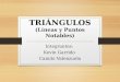 TRIÁNGULOS (Líneas y Puntos Notables) Integrantes: Kevin Garrido Camilo Valenzuela
