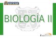 FERMENTACIÓN BIOLOGÍA I UNIDAD 3: FUNCIONES DE LOS SERES VIVOS TEMA 2.- RESPIRACIÓN SUBTEMA.- RESPIRACIÓN AEROBIA Y ANAEROBIA PRÁCTICA DE LABORATORIO